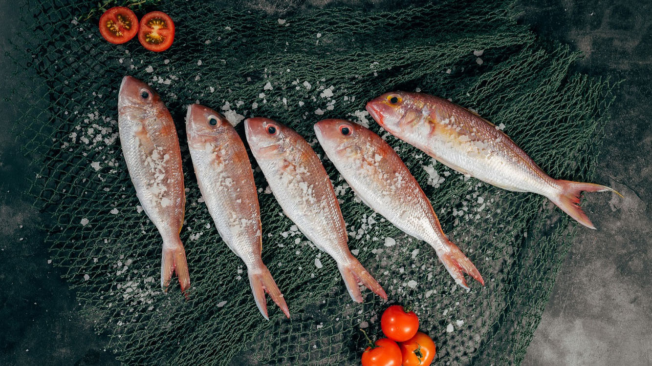 fisch-nutriks-unsplash-frei-16-9