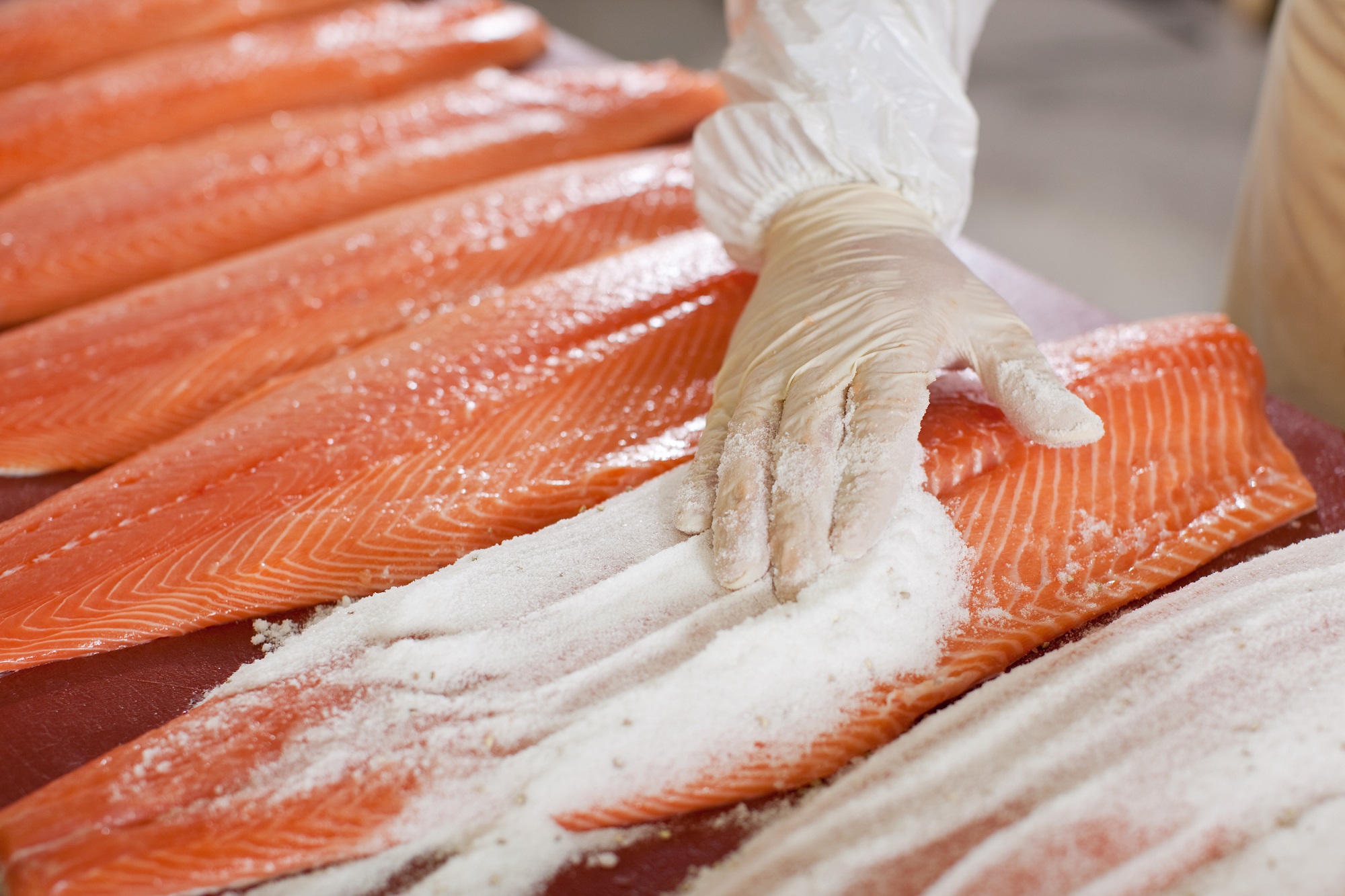 lachs-nutriks-adobestock-22645957-lizenziert-standard